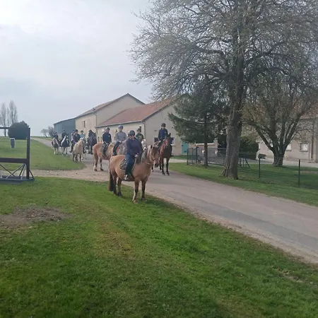 Insolite Sur A La Ferme *