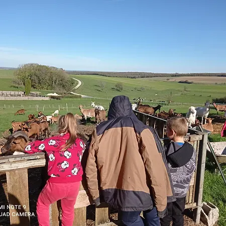 Insolite Sur A La Ferme